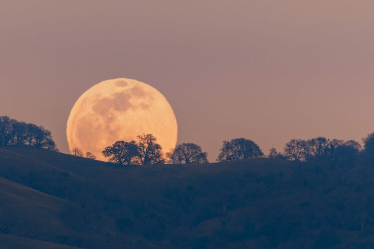Supermoons, Scientists, and Silent Elephant Vigils
