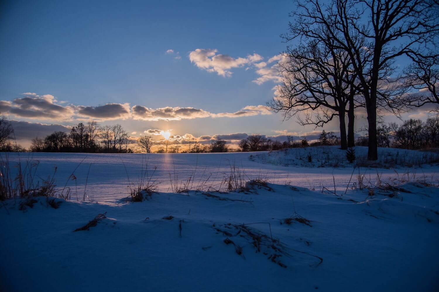 Struggling to Create More Light? Struggling to Create More Light?