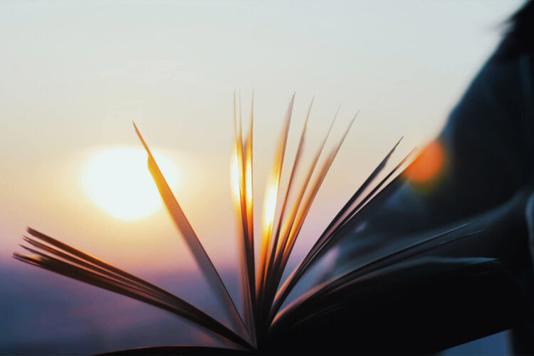 Finding Wisdom in Unexpected Places
