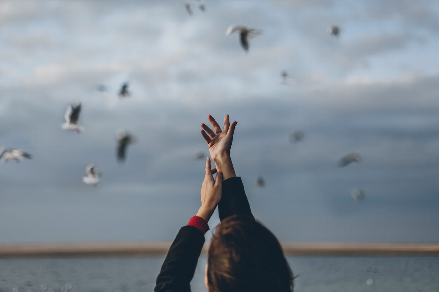 What Can We Trust When We are Letting Go? What Can We Trust When We are Letting Go?
