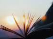 The Wisdom of Unlearning