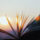 The Wisdom of Unlearning