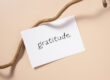 Gratitude as the Guide