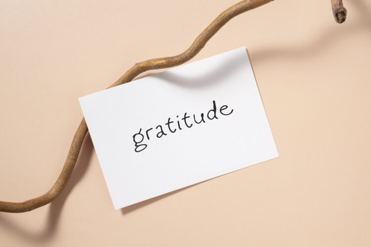 Gratitude as the Guide
