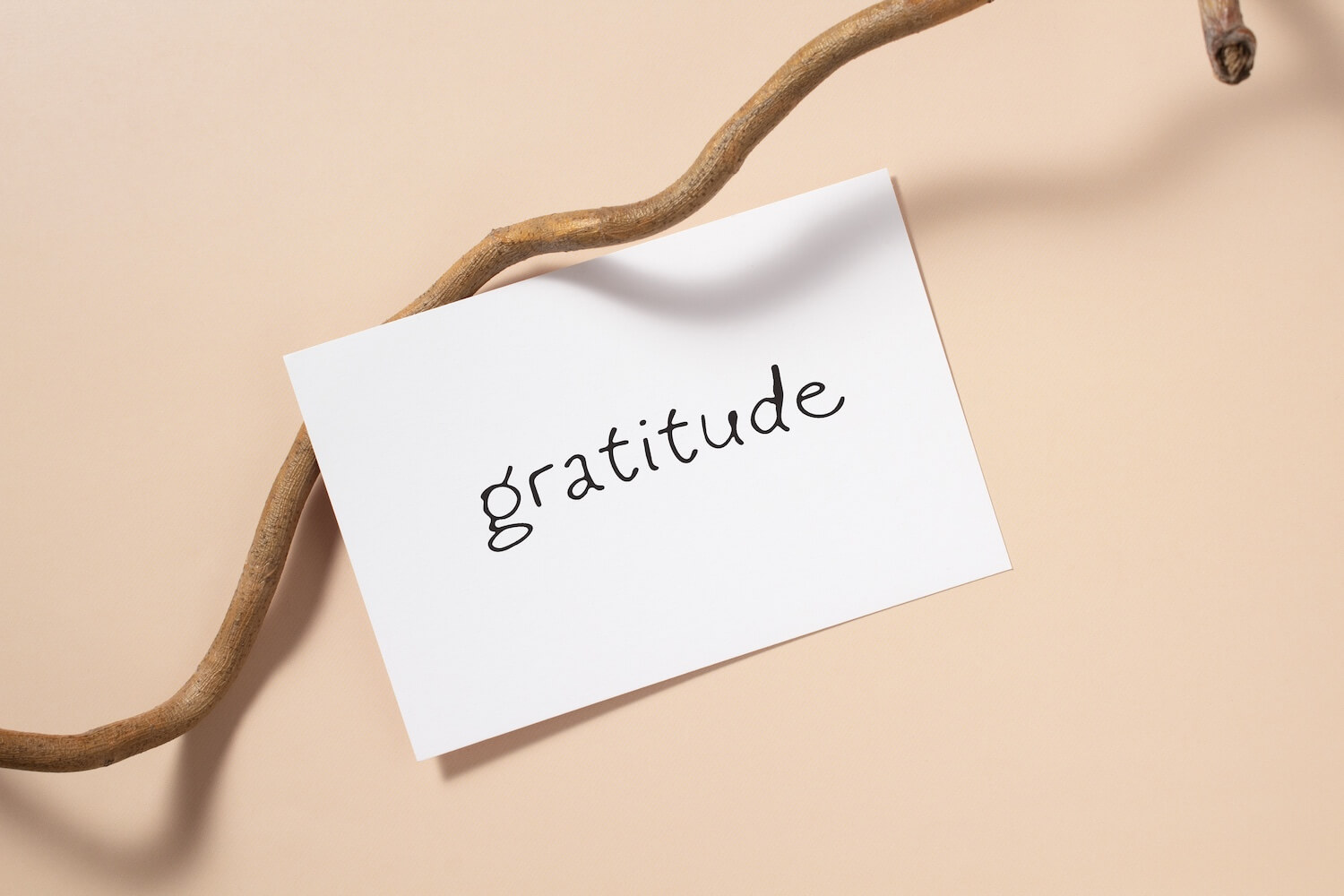 Gratitude as the Guide